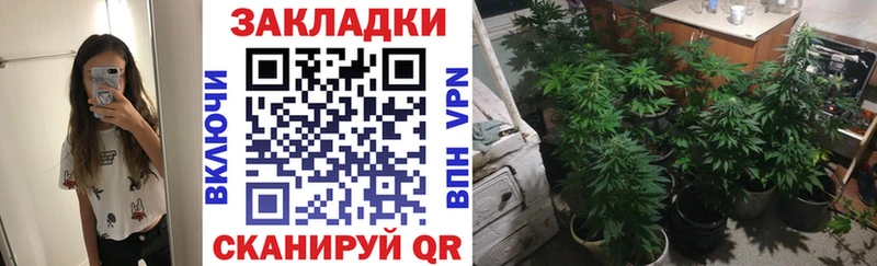 Галлюциногенные грибы Каневская