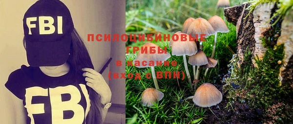 герыч Новокубанск