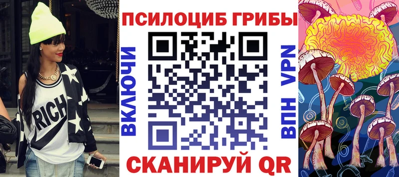 Псилоцибиновые грибы мицелий  как найти наркотики  Каневская 
