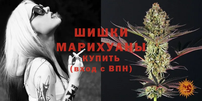 где найти наркотики  omg вход  Бошки марихуана White Widow  Каневская 